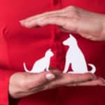 assicurazione Milano su animali per aiutarti con le spese veterinarie